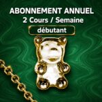 FORMULE DEBUTANT - DEUX COURS / SEMAINE