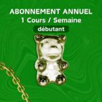 DEBUTANT - UN COURS / SEMAINE